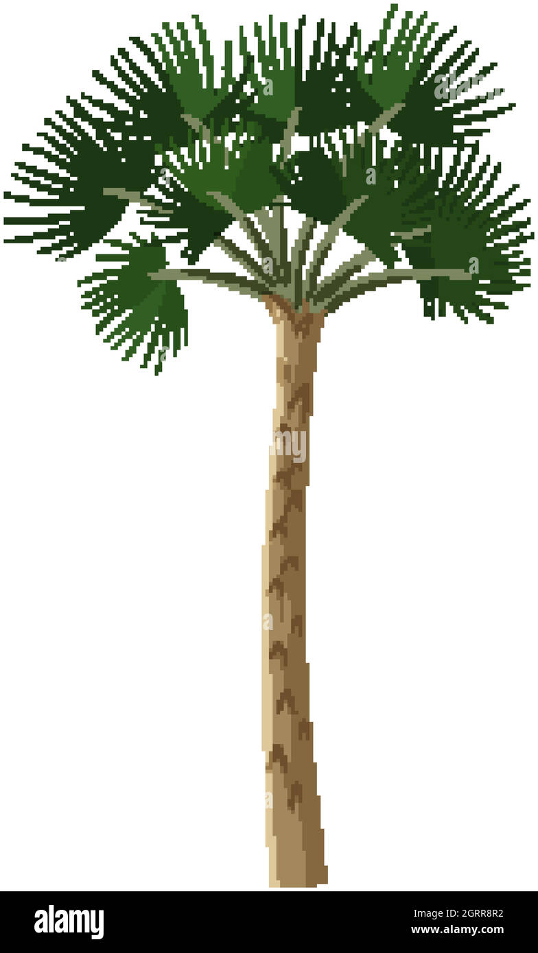 Un seul arbre de forêt tropicale isolé sur fond blanc Illustration de Vecteur