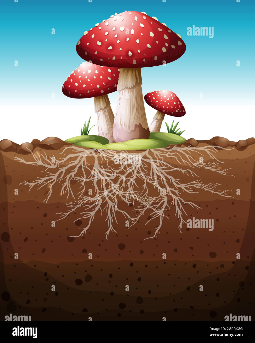 Champignon rouge croissant à partir du sol Illustration de Vecteur