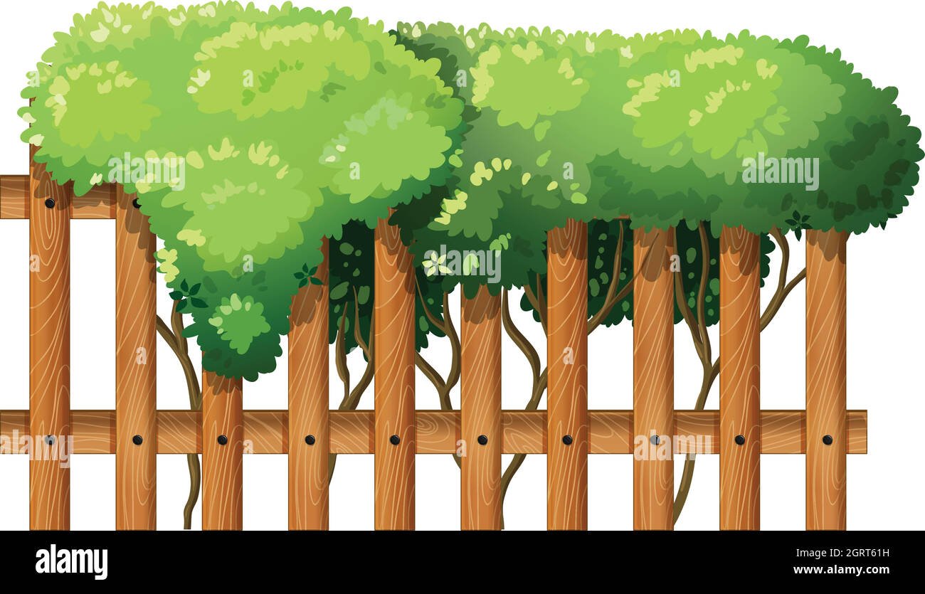 Une clôture en bois avec des plantes vertes Illustration de Vecteur