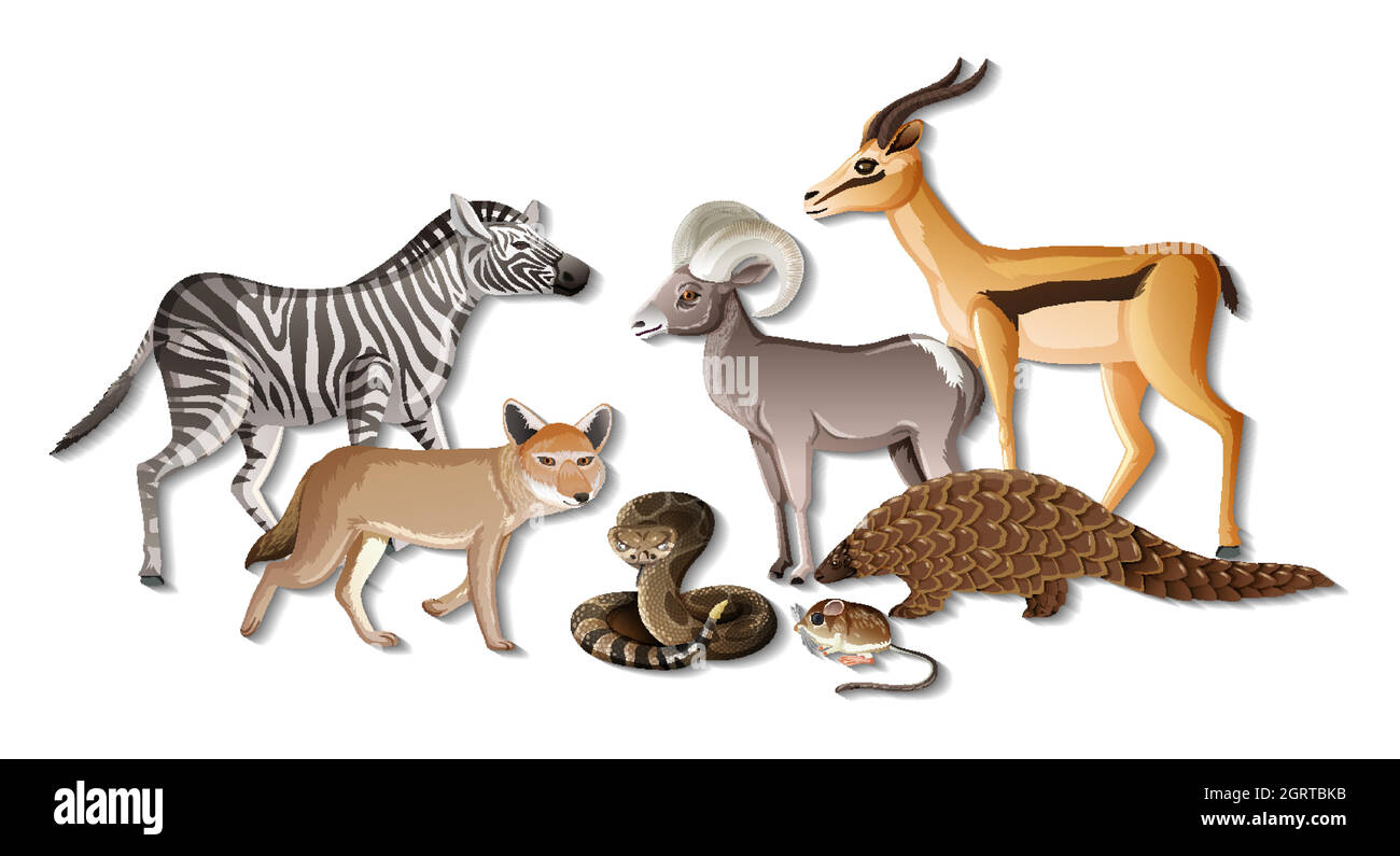 Groupe d'animaux sauvages africains sur fond blanc Illustration de Vecteur