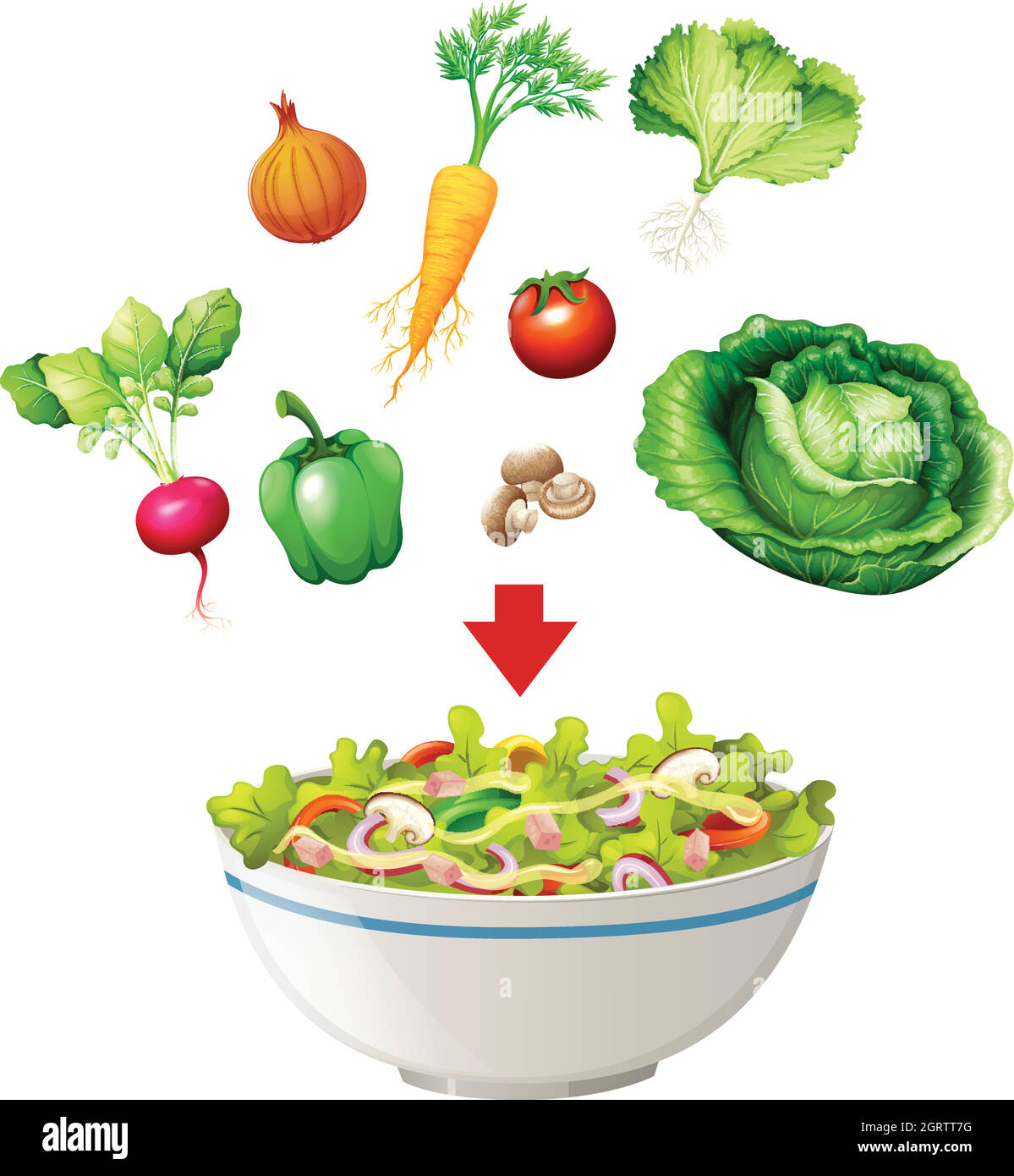 Variété de salade dans un bol Illustration de Vecteur