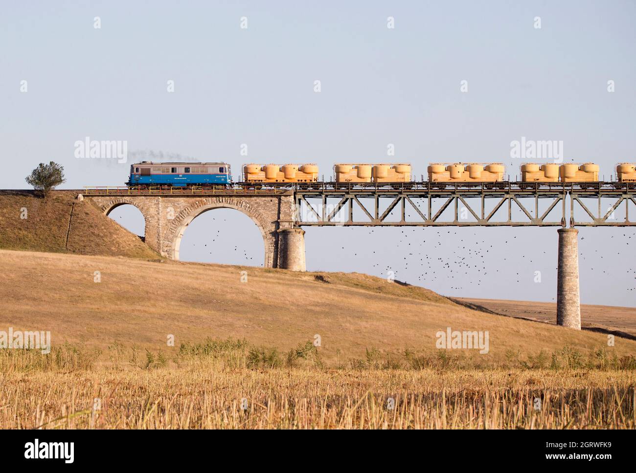 Pont ferroviaire avec train Banque D'Images