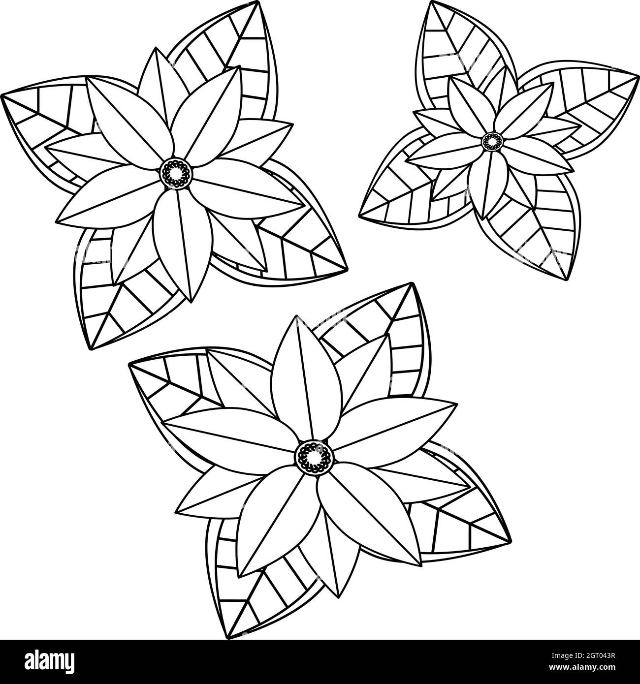 Poinsettia fleur dessiné à la main.éléments de conception de plantes. Logo botanique. Page de coloriage avec poinsettia Illustration de Vecteur