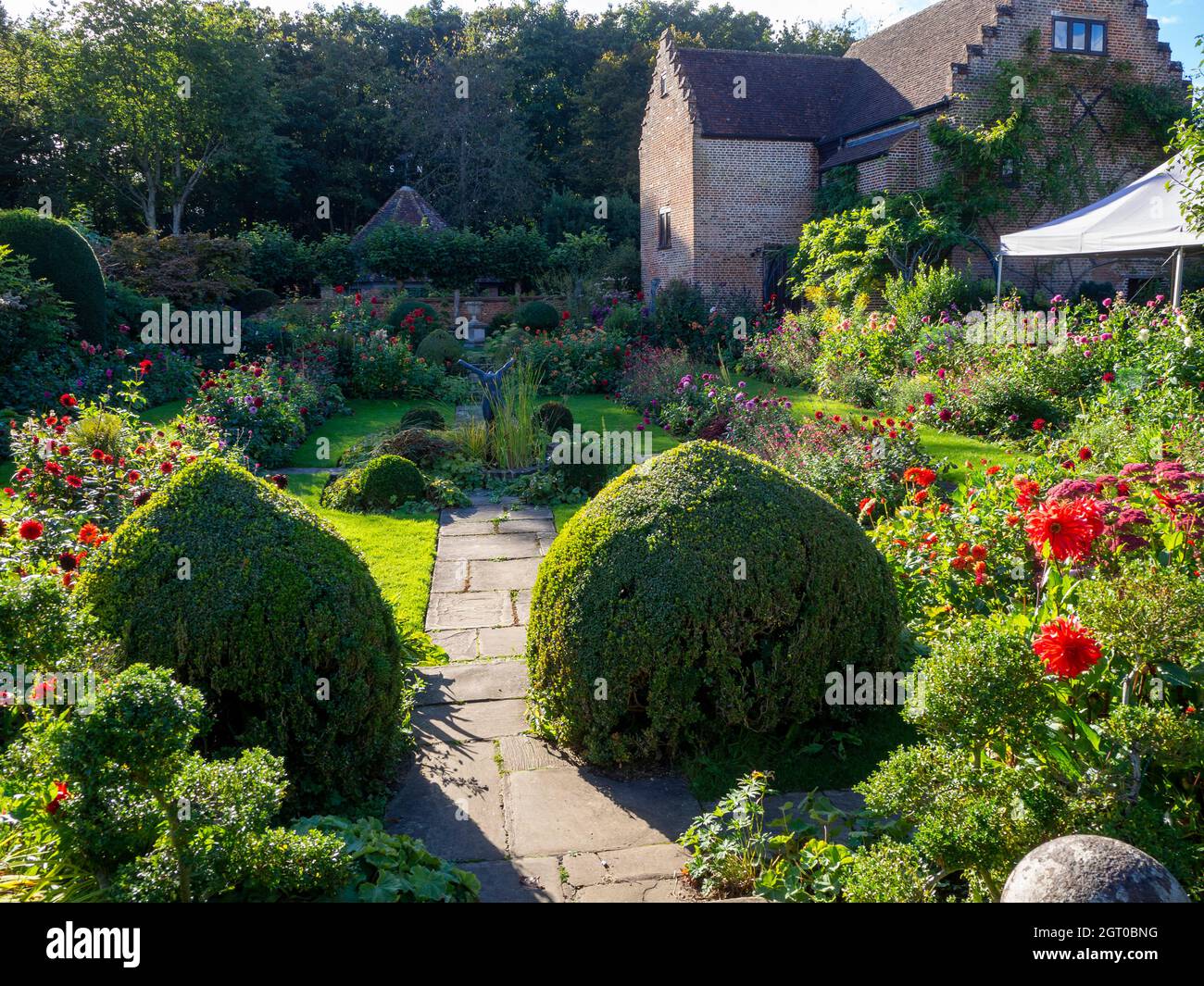 Chenies Manor jardin en contrebas à la fin septembre. Ombre rampante et soleil vivrant qui refluent les dahlias rouge vif et orange le long des chemins. Banque D'Images