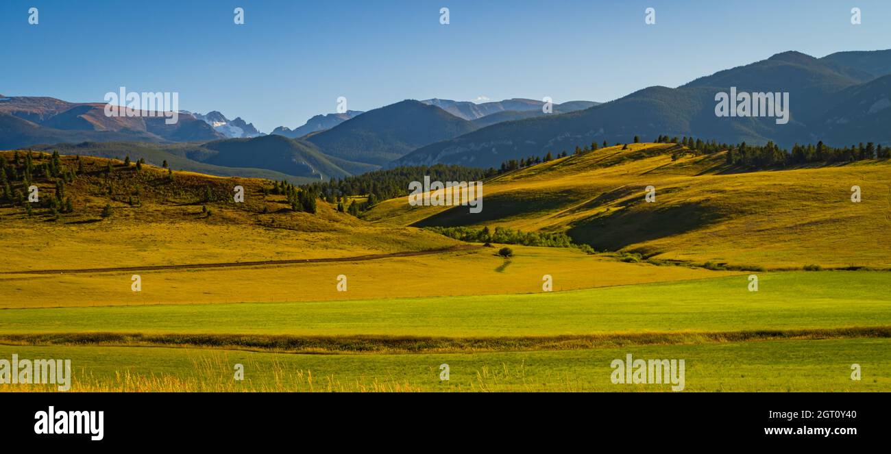 Vue sur le paysage des montagnes Beartooth, Montana Banque D'Images