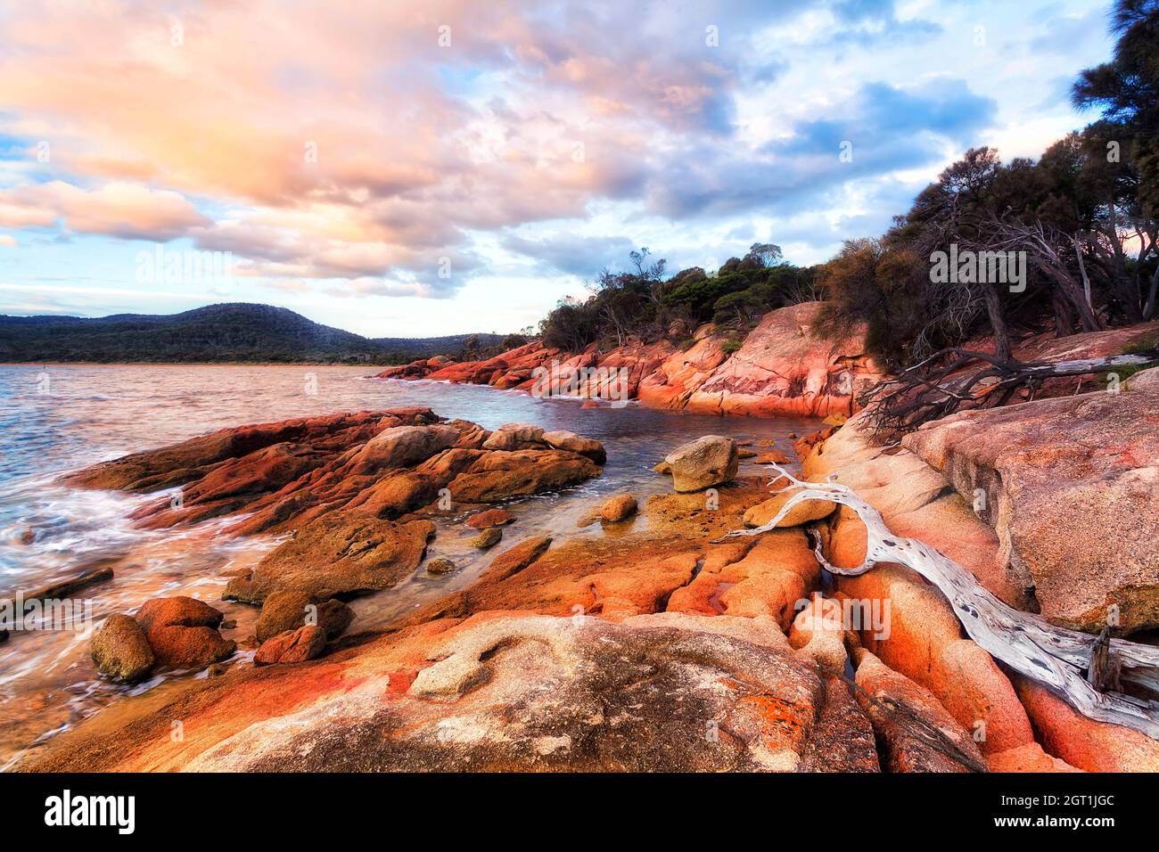 Rochers de granit colorés couverts de lichen dans la baie de lune de miel du parc national et de la péninsule de Freycinet en Tasmanie. Banque D'Images