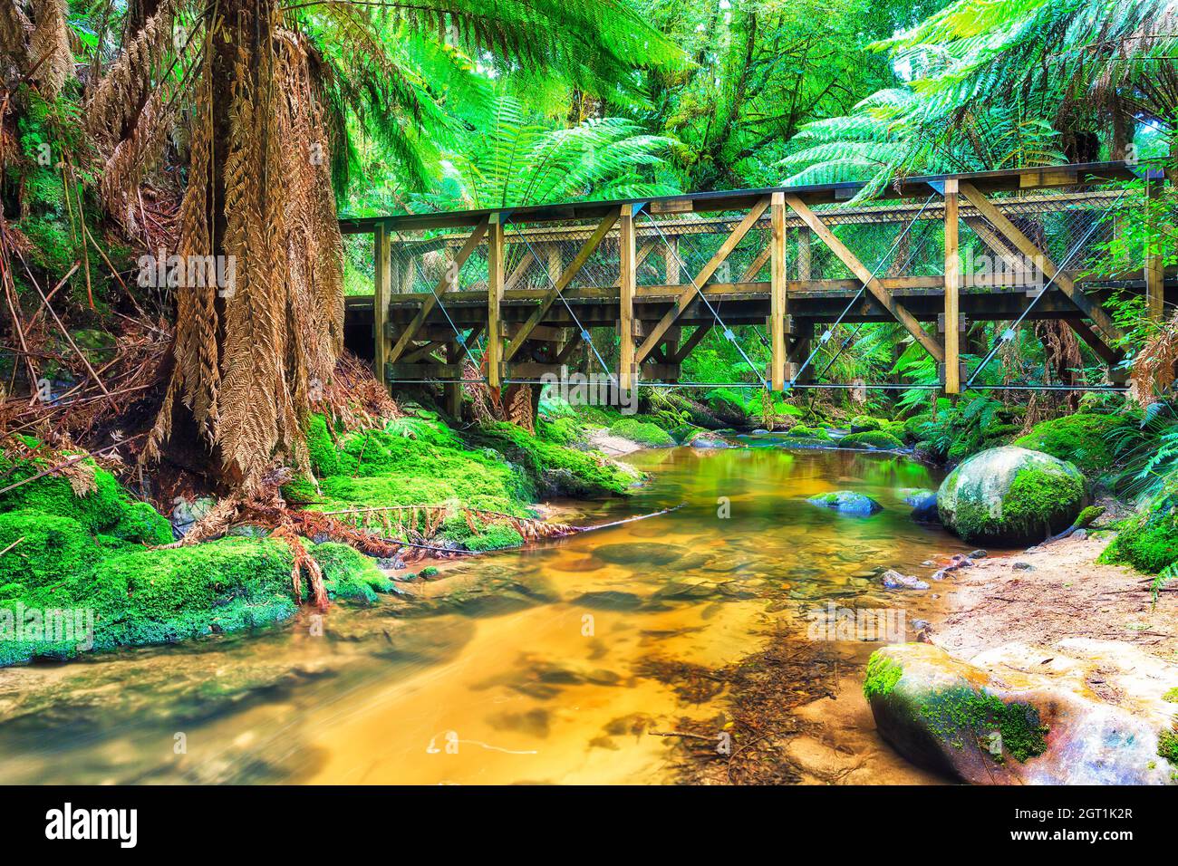 Sentier pédestre avec pont traversant St Columba Falls creek d'eau douce au fond de la forêt tropicale de Tasmanie, en Australie. Banque D'Images