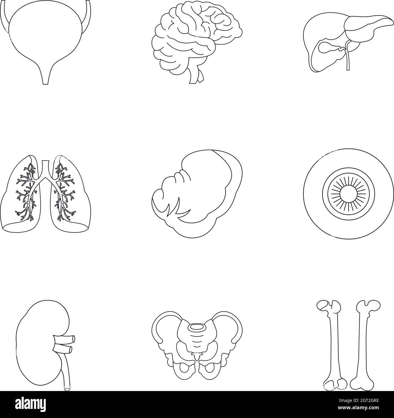 Les organes de l'ensemble des icônes de style du contour, Illustration de Vecteur