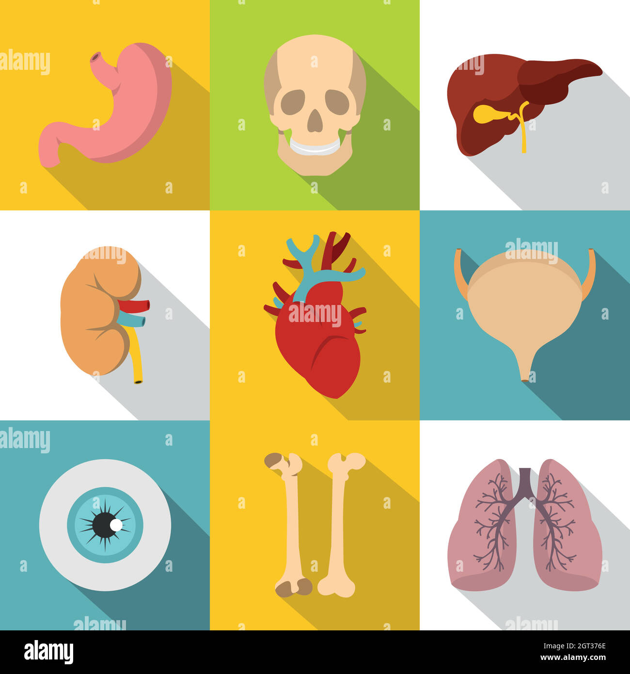 Les organes de l'ensemble des icônes de style, télévision Illustration de Vecteur