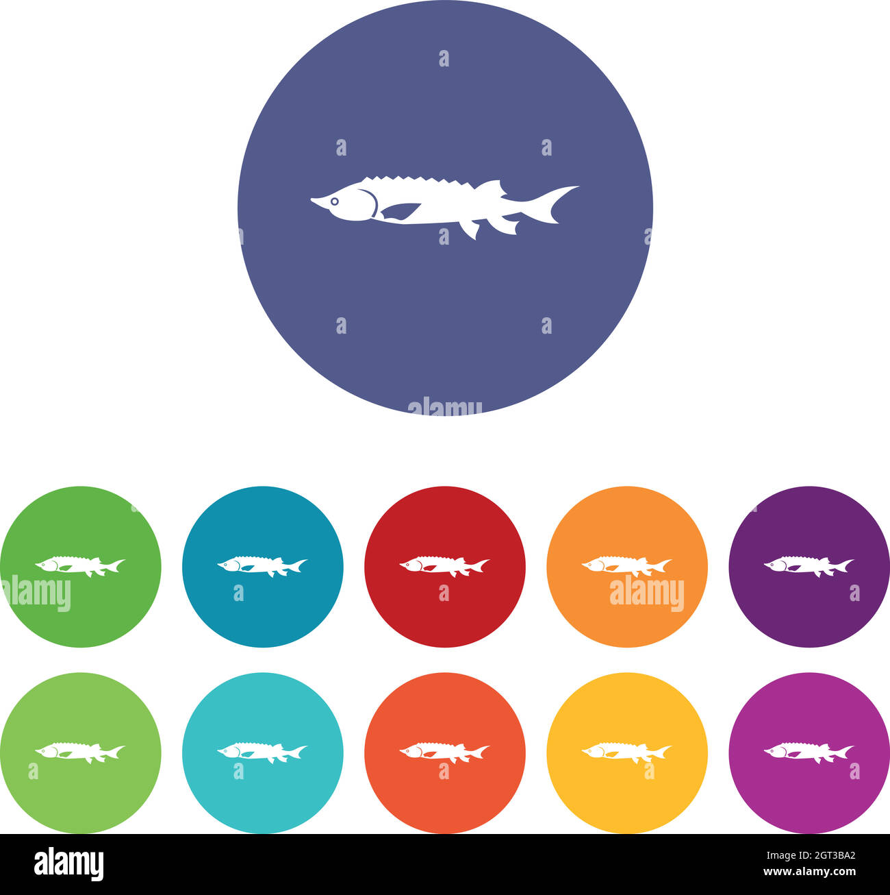 Icônes de l'ensemble de poissons d'esturgeon frais Illustration de Vecteur