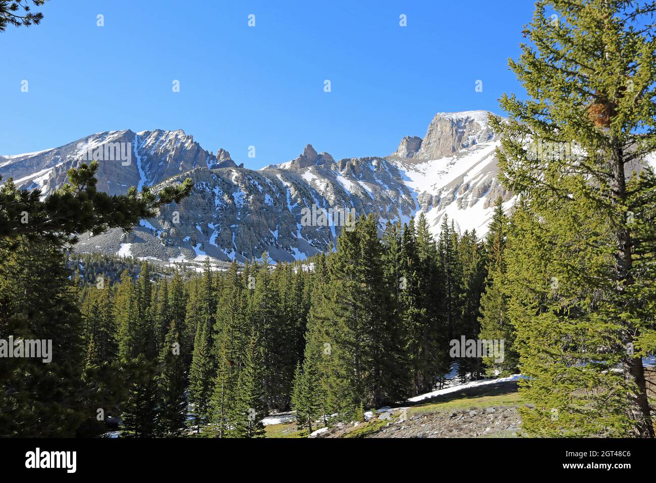Parc national de Great Basin, Nevada - Jeff Davis Peak et Wheeler Peak au-dessus de la forêt de pins Banque D'Images