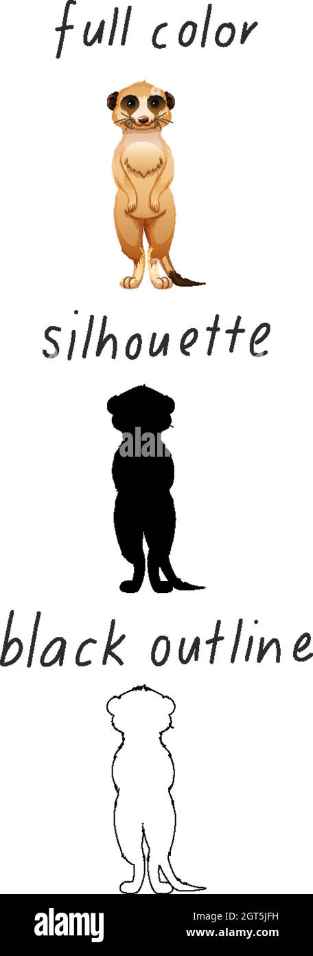 Ensemble de meerkat en couleur, silhouette et contour noir sur fond blanc Illustration de Vecteur