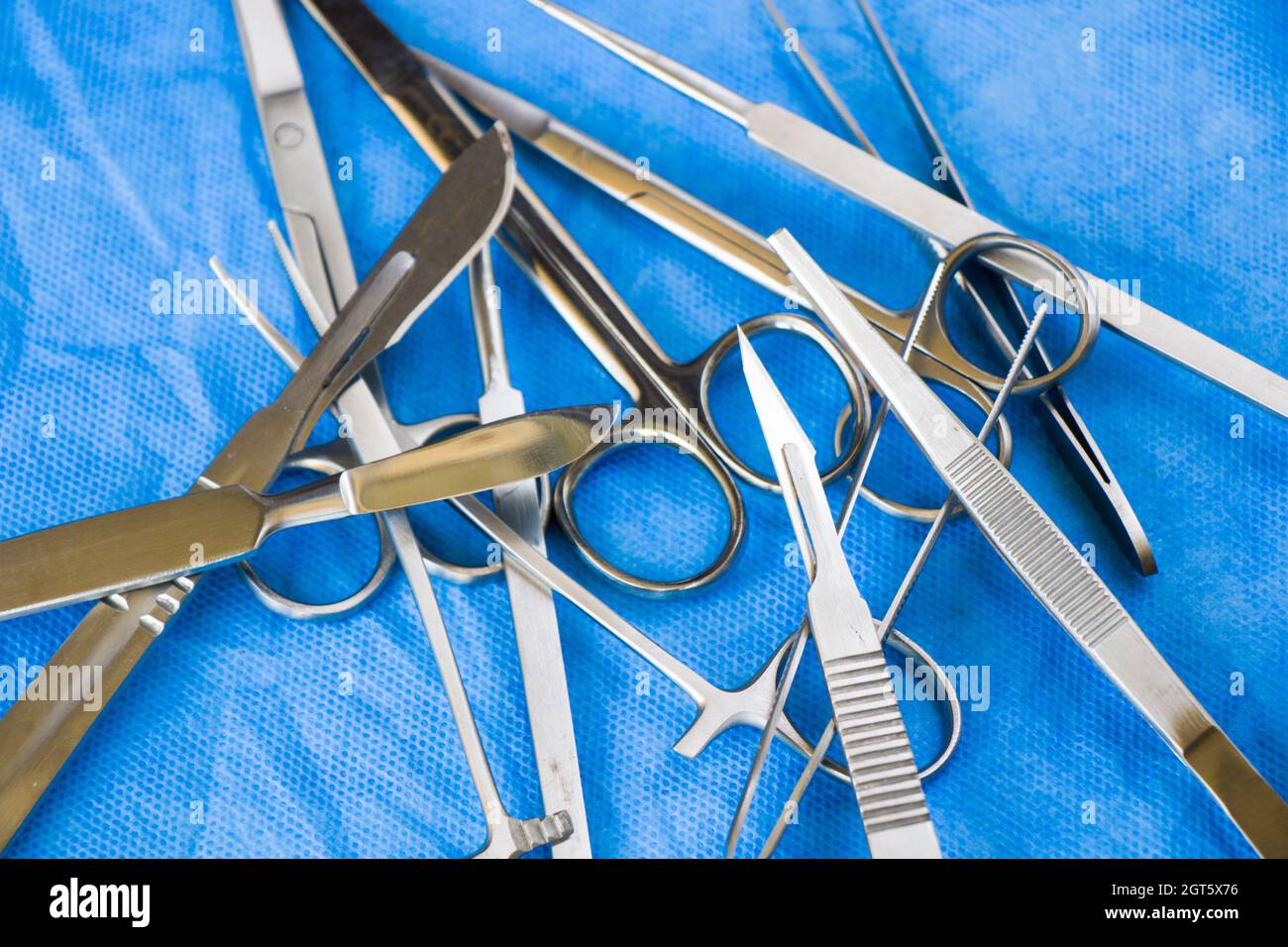 Kit de dissection - Outils en acier inoxydable pour les étudiants en  médecine d'anatomie, de biologie, vétérinaire Photo Stock - Alamy