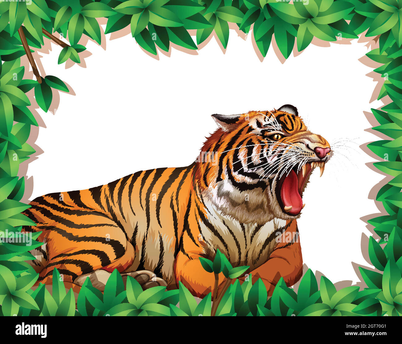 Cadre nature Tiger Image Vectorielle Stock - Alamy