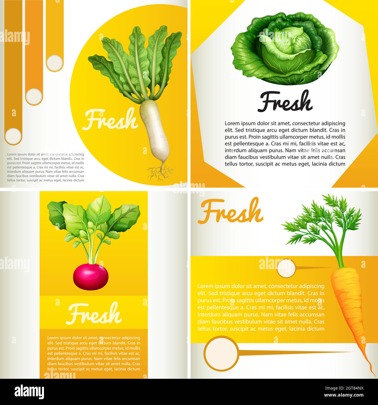 Diagramme d'infographie avec légumes frais Illustration de Vecteur