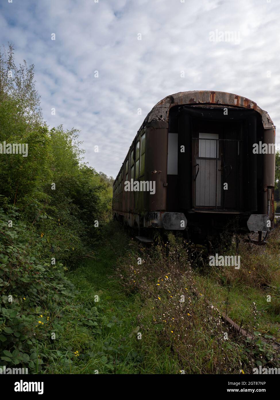 Une vieille voiture de train a été abandonnée sur un vieux chemin de fer trop cultivé avec des mauvaises herbes Banque D'Images