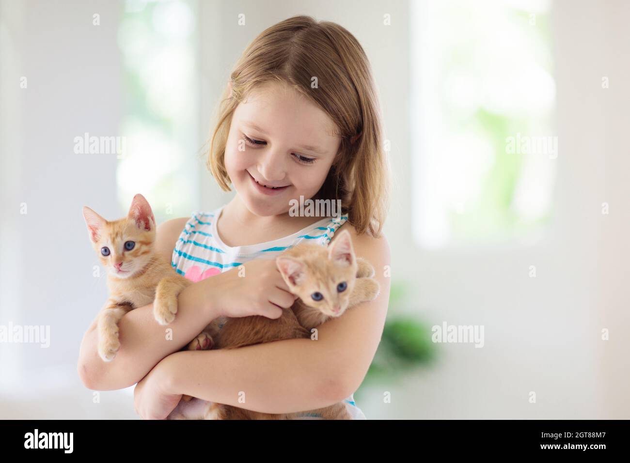 Enfant tenant bébé chat. Enfants et animaux de compagnie. Petite fille  embrassant mignon petit chaton à la maison. Animal domestique en famille  avec enfants. Enfants avec animaux de compagnie Photo Stock -