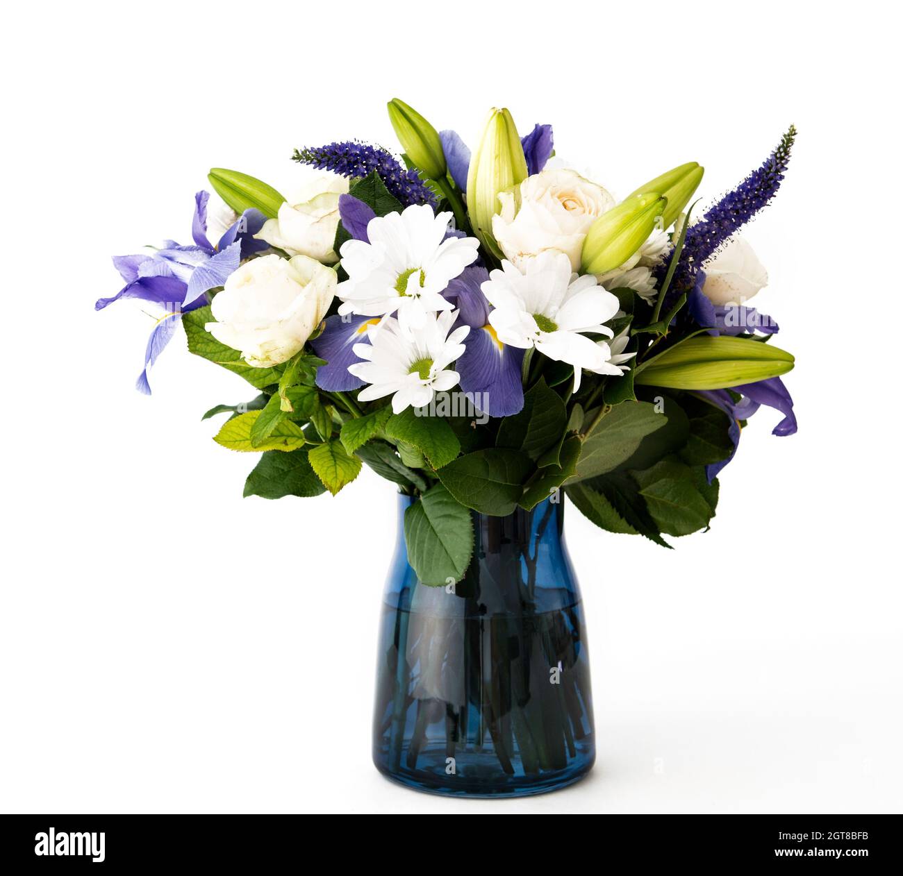 Bouquet mauve fleurs blanches, Sympathie et concept de Condorence sur fond blanc avec espace de copie. Banque D'Images