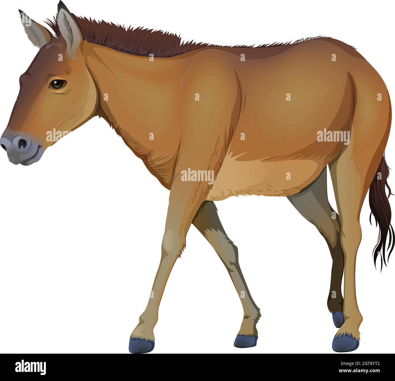 Un cheval brun Illustration de Vecteur