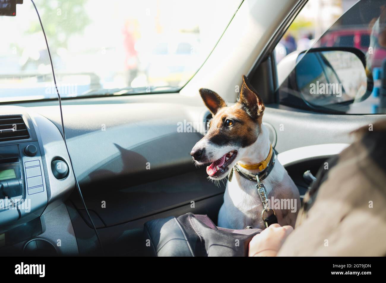 Car body parts in car Banque d'image et photos Alamy