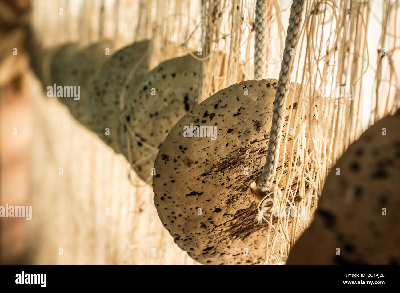 Flotteurs de liège de filet de drif de rivière. Le matériel de pêche traditionnel utilisé par les pêcheurs de Guadiana au siècle dernier Banque D'Images