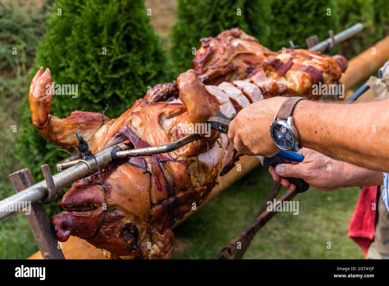 Le chef coupe des mains de porc entier grillé pour des steaks avec un couteau. Corps entier de porcelet torréfié tournant sur le gril. Grand barbecue dans le processus de cuisson de la viande Banque D'Images