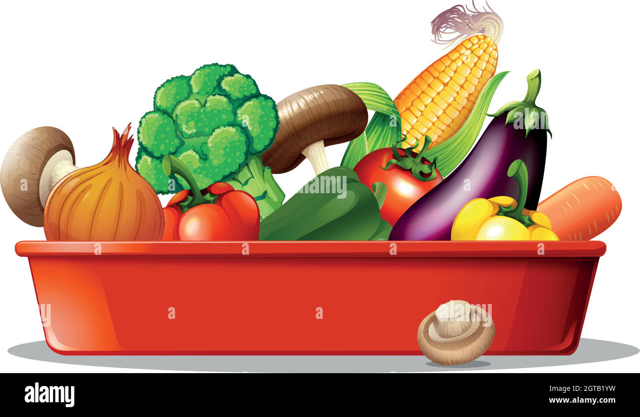 Légumes frais sur plateau rouge Illustration de Vecteur