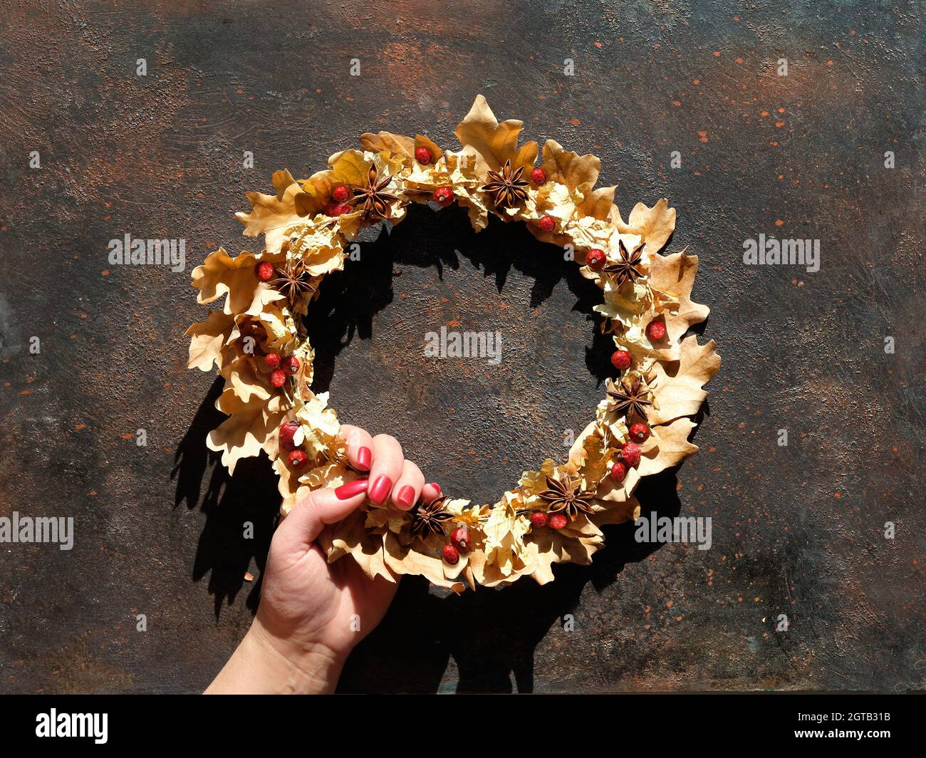 Couronne de fleurs séchées de feuilles et de baies d'automne sèches. Revêtement plat sur fond texturé brun foncé. Main avec ongles rouges manucurés tient la couronne. Banque D'Images