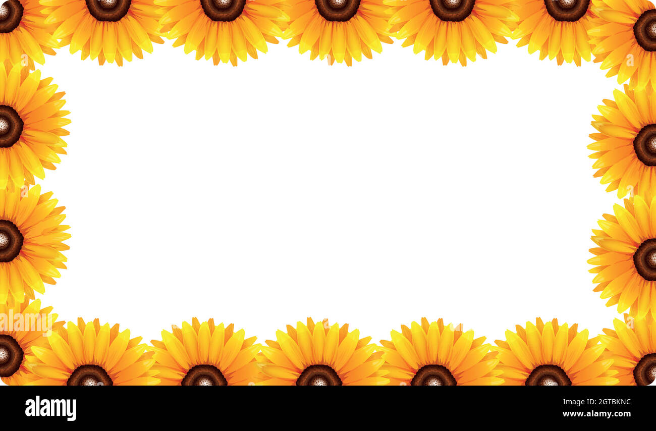 Un modèle de bordure de tournesol Illustration de Vecteur