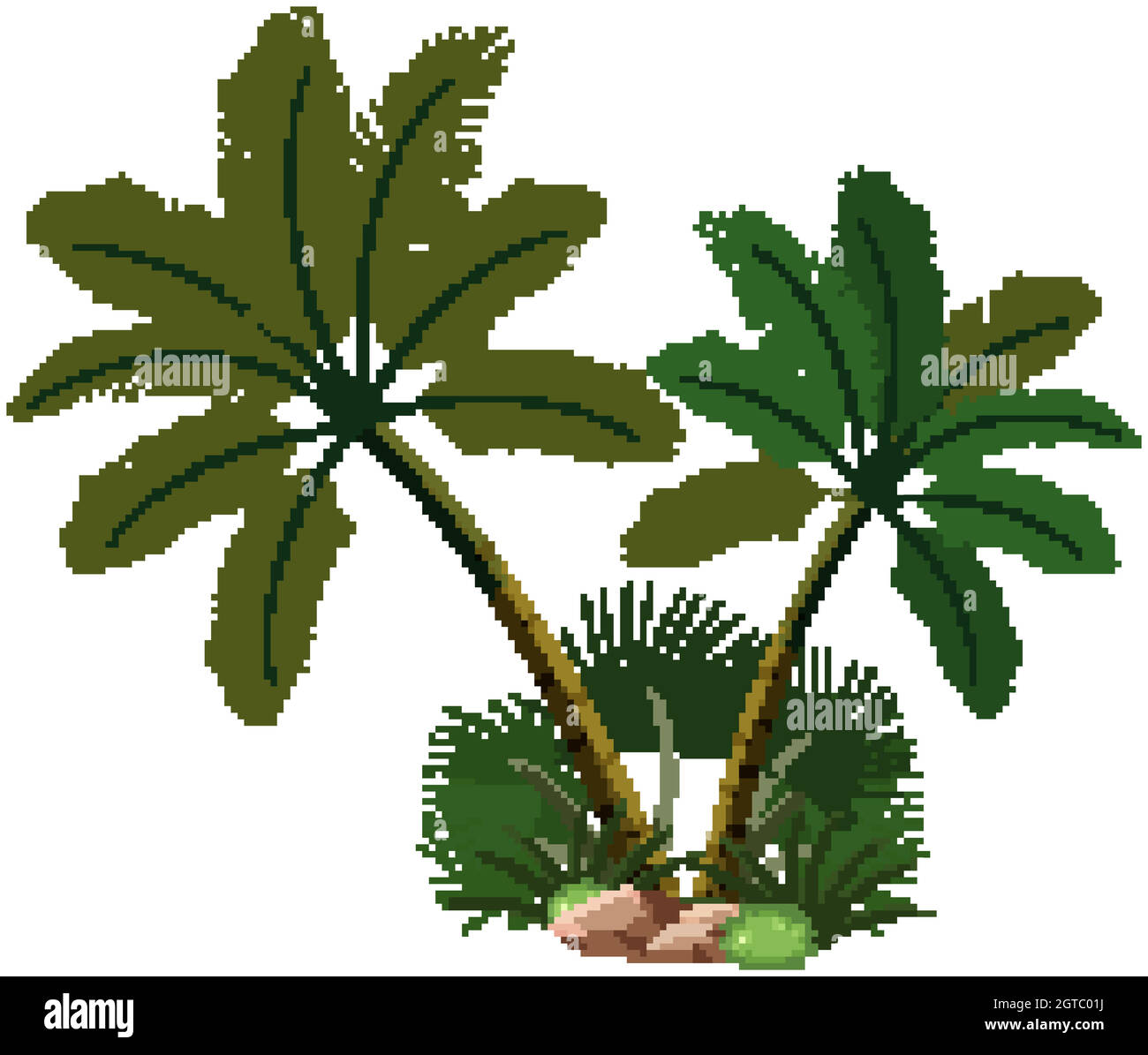 Deux palmiers avec éléments naturels sur fond blanc Illustration de Vecteur