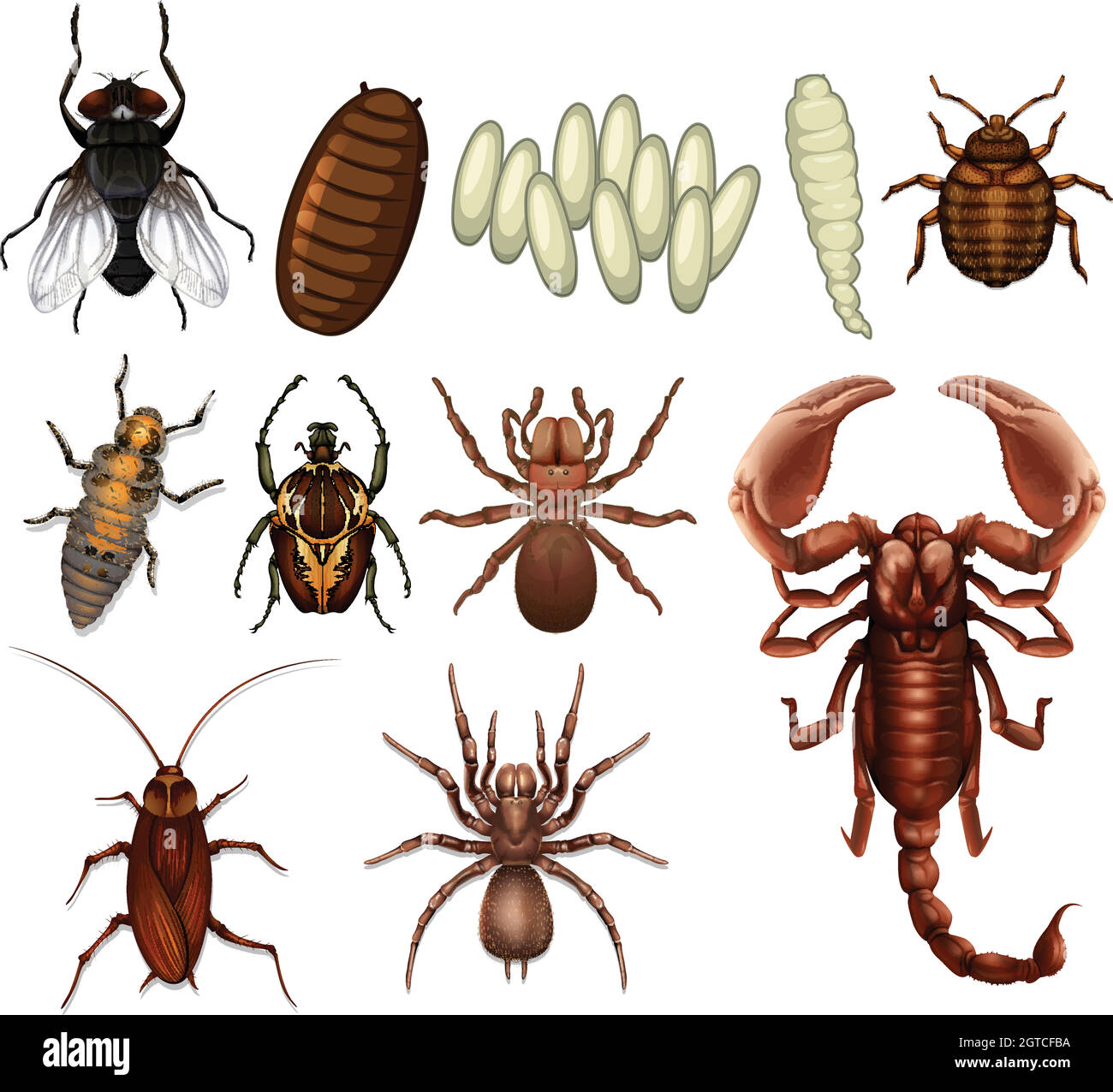 Un ensemble d'insectes Illustration de Vecteur