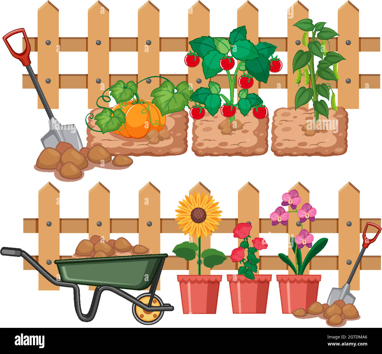 Légumes et fleurs poussant dans le jardin Illustration de Vecteur