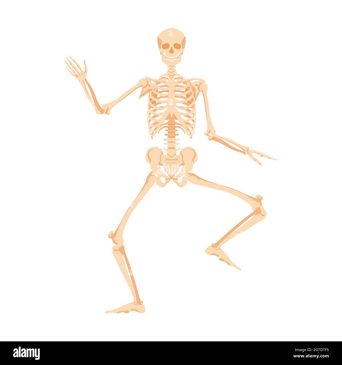 Danse du squelette humain. L'homme mort danse dans la danse incendiaire anatomique Illustration de Vecteur