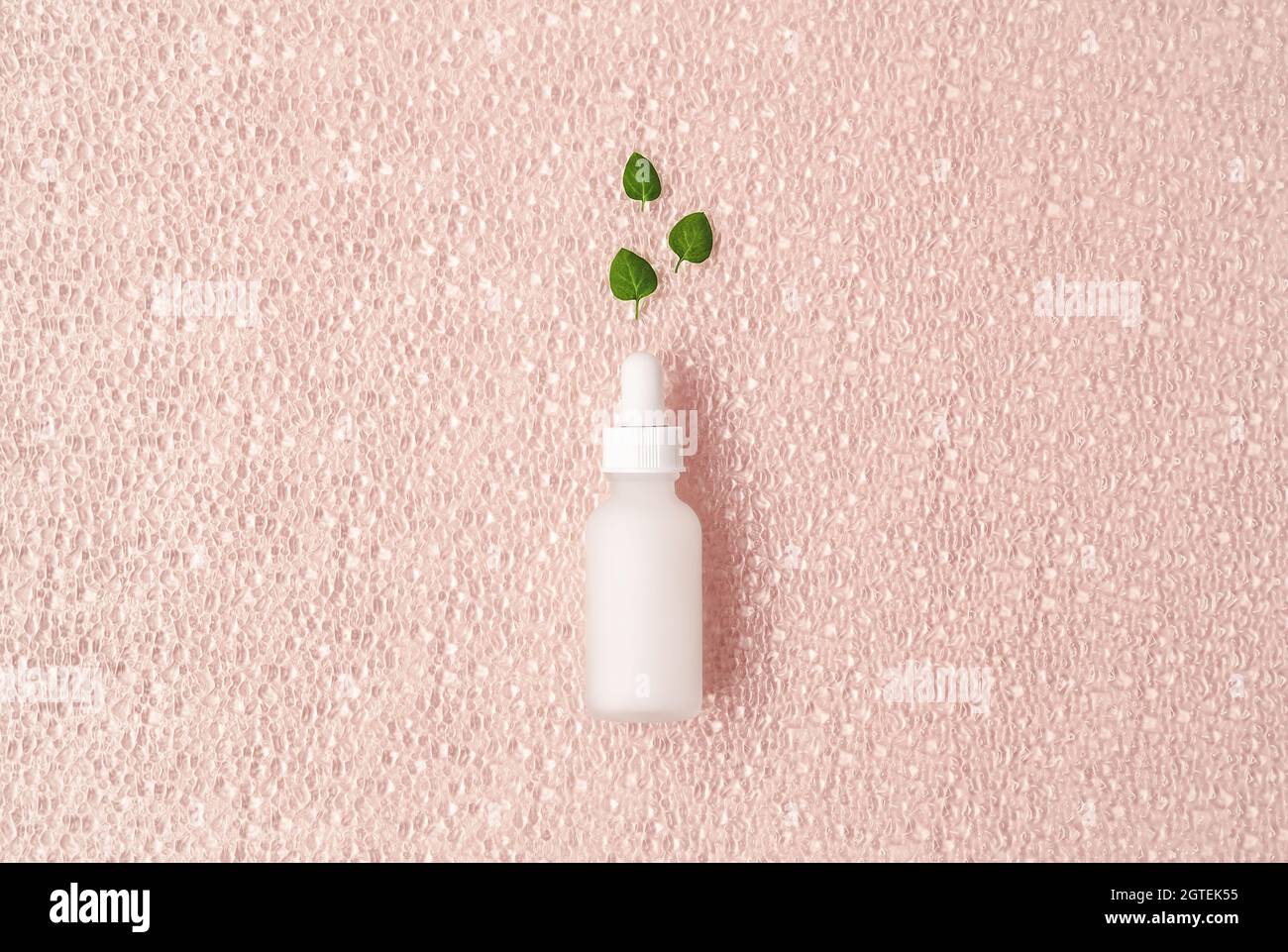 Belle composition de bouteille de sérum maquette blanche et feuilles vertes fraîches sur fond rose et en verre texturé. Plan de maquillage créatif avec espace de copie. Concept de cosmétiques naturels. Banque D'Images