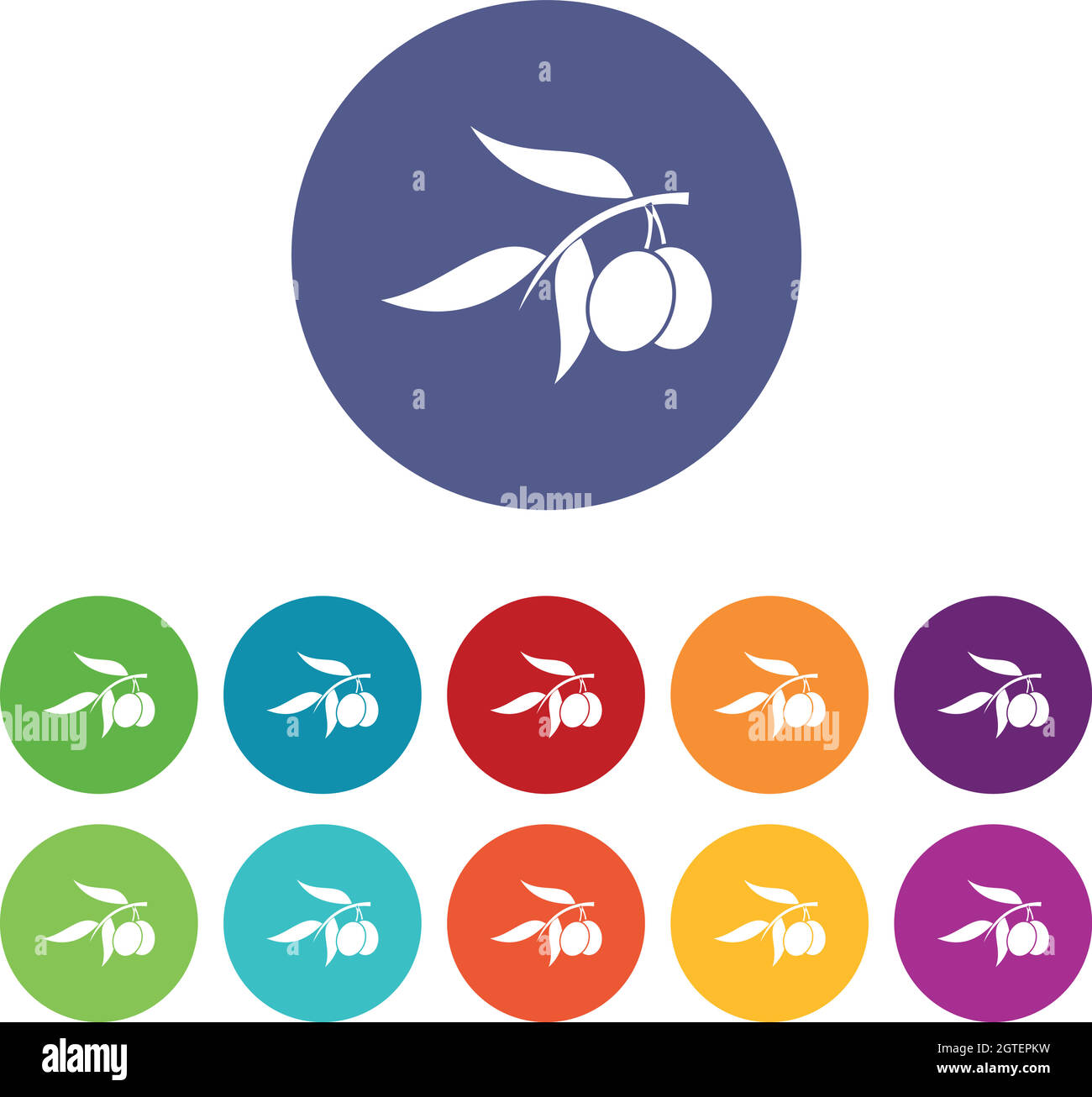 Branche d'olivier avec deux icônes de jeu d'olives Illustration de Vecteur