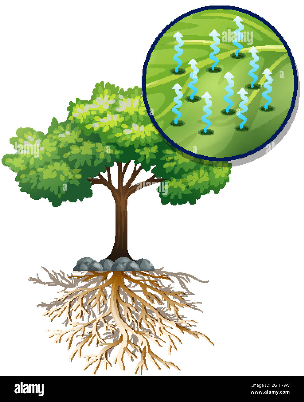 Grand arbre vert et cellules de plante de fermeture Illustration de Vecteur