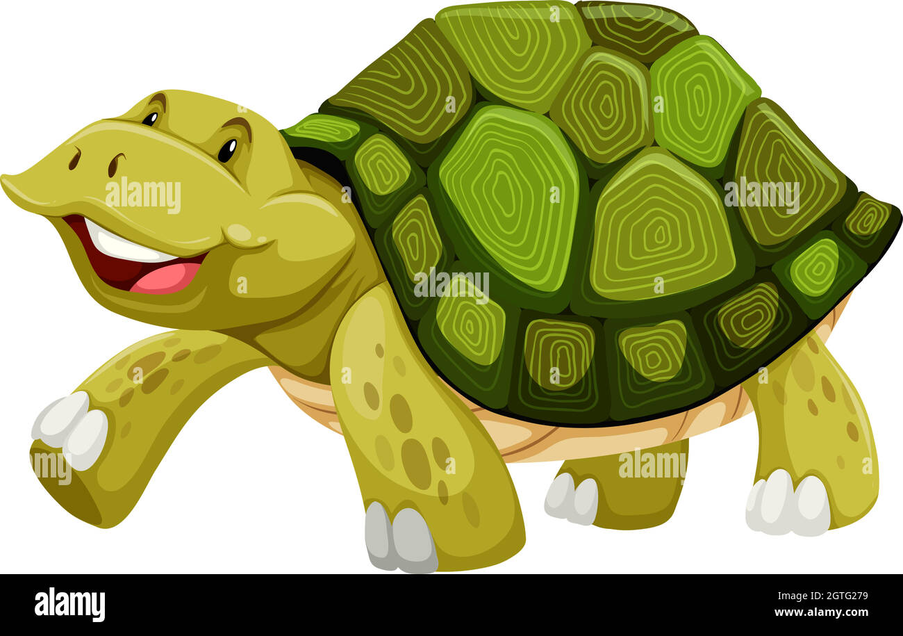 Tortue Illustration de Vecteur