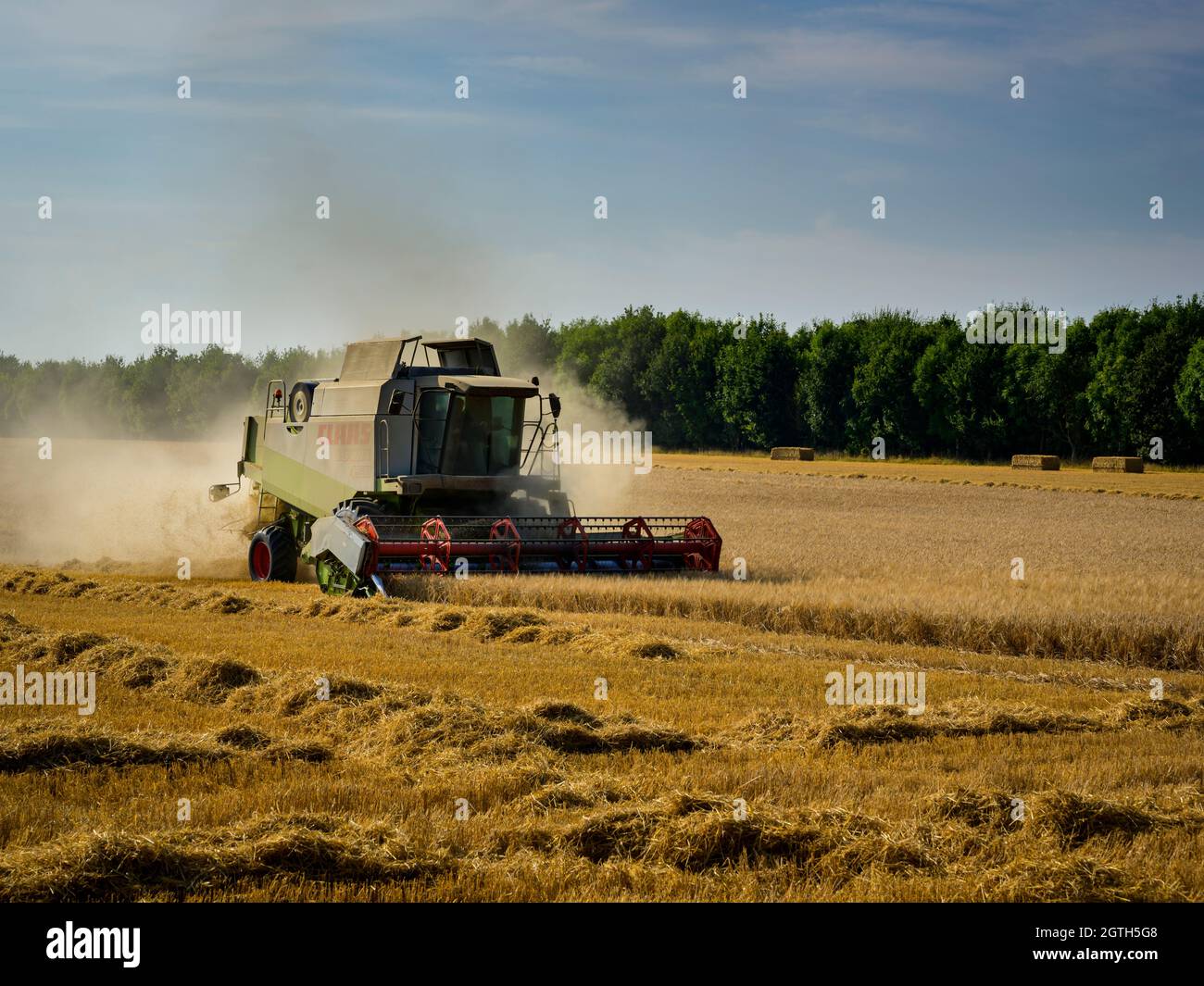 Puissante machine agricole (moissonneuse-batteuse Claas) pour la coupe de champs de blé poussiéreux et la récolte de céréales lors de la récolte - North Yorkshire, Angleterre, Royaume-Uni Banque D'Images