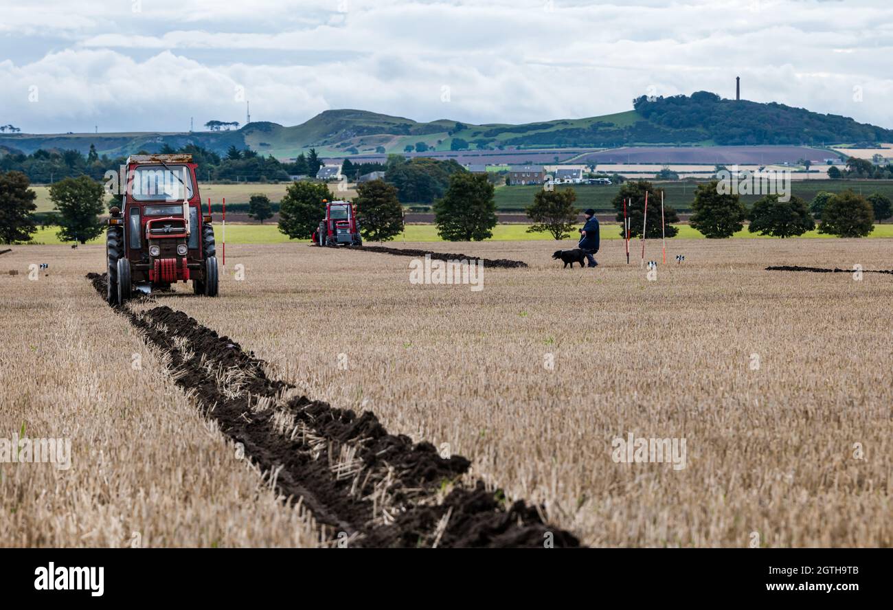 Luffness mains Farm, East Lothian, Écosse, Royaume-Uni, 2 octobre 2021.Match de labour caritatif : les agriculteurs participent à l'événement pour recueillir des fonds pour les championnats écossais de labour qui ont été durement touchés par la pandémie.Les tracteurs sont des modèles horticoles classiques, classiques, classiques et vintage hydrauliques, non hydrauliques et réversibles.Les juges décerne des points pour la rectitude, les ouvertures et les sorties et une variété d'autres caractéristiques des lignes labourées.Photo : un tracteur classique labourant une ligne Banque D'Images