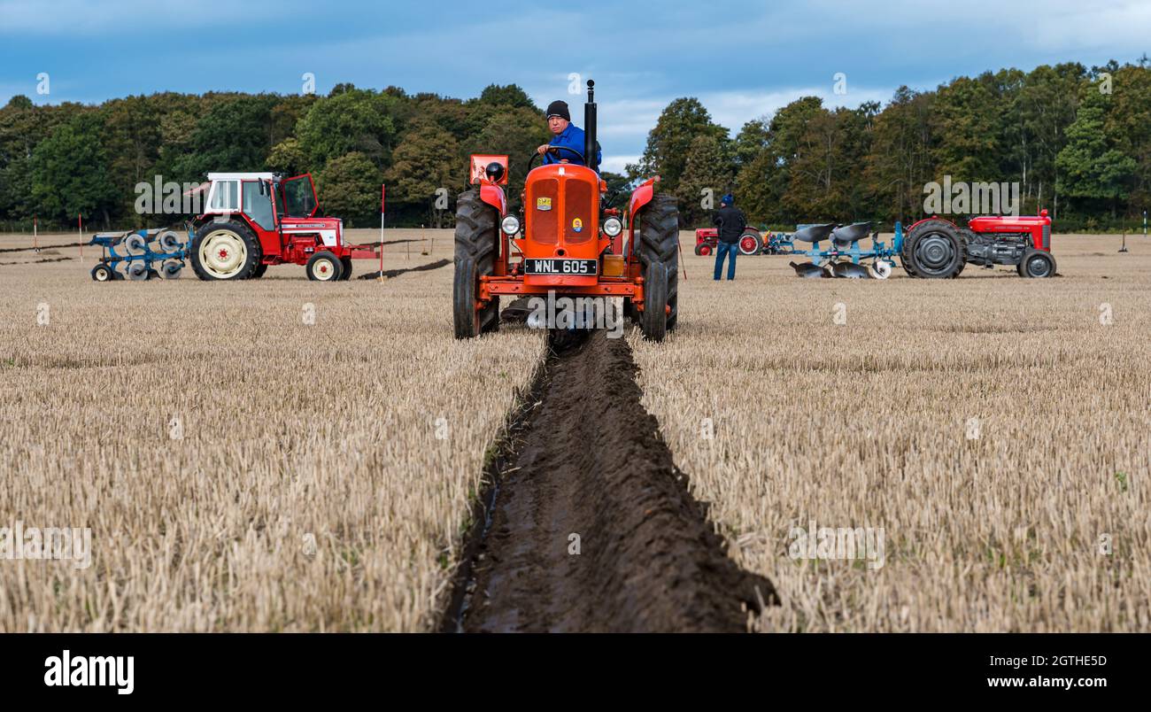 Luffness mains Farm, East Lothian, Écosse, Royaume-Uni, 2 octobre 2021.Match de labour caritatif : les agriculteurs participent à l'événement pour recueillir des fonds pour les championnats écossais de labour qui ont été durement touchés par la pandémie.Les tracteurs sont des modèles horticoles classiques, classiques, classiques et vintage hydrauliques, non hydrauliques et réversibles.Les juges décerne des points pour la rectitude, les ouvertures et les sorties et une variété d'autres caractéristiques des lignes labourées.Photo : un tracteur Nuffield classique 1962 Banque D'Images