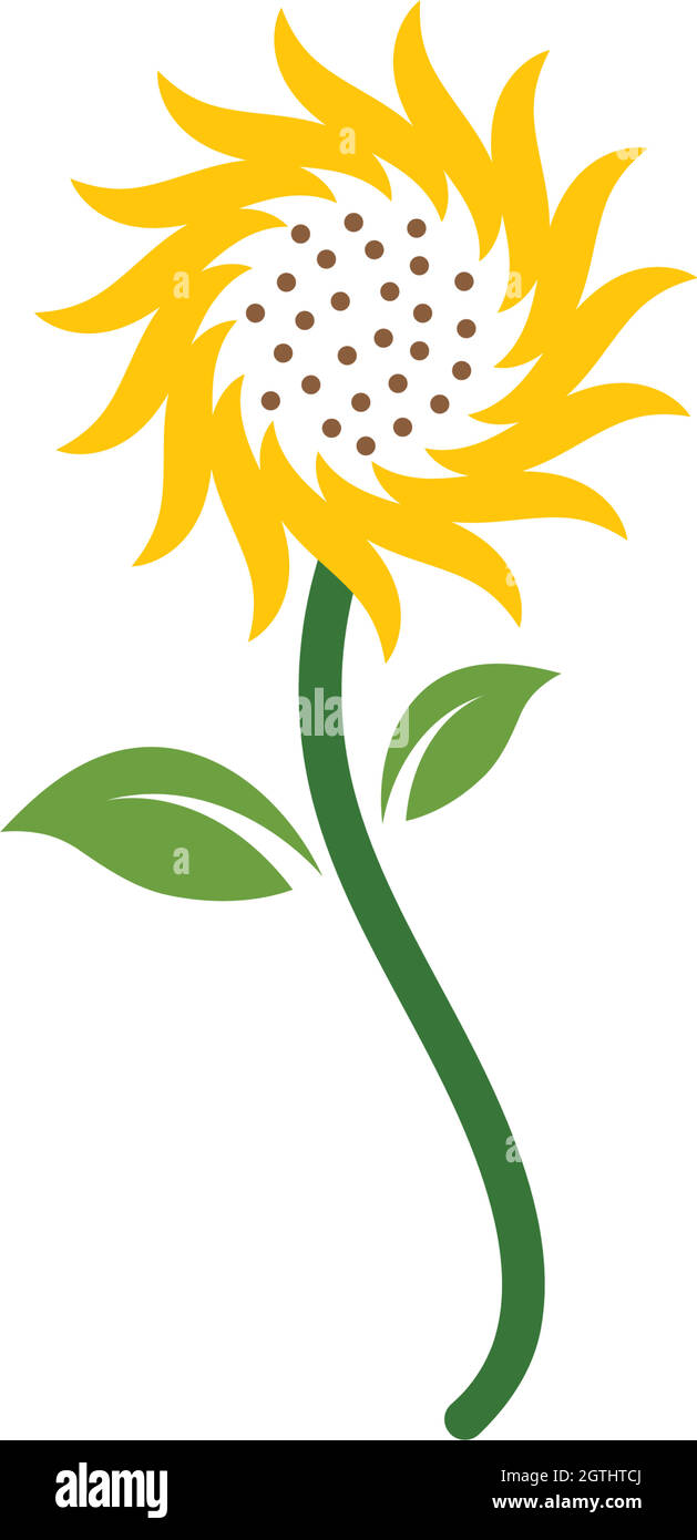 Vecteur d'icône de logo de tournesol Illustration de Vecteur