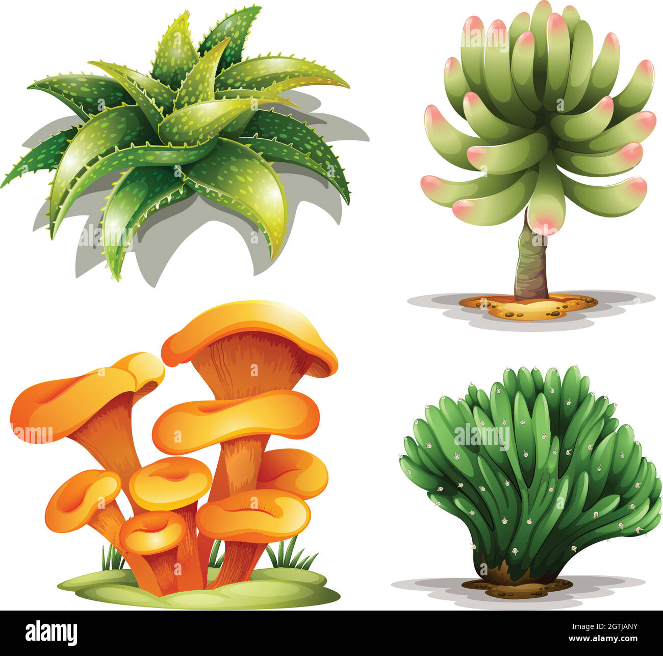Différentes plantes Illustration de Vecteur