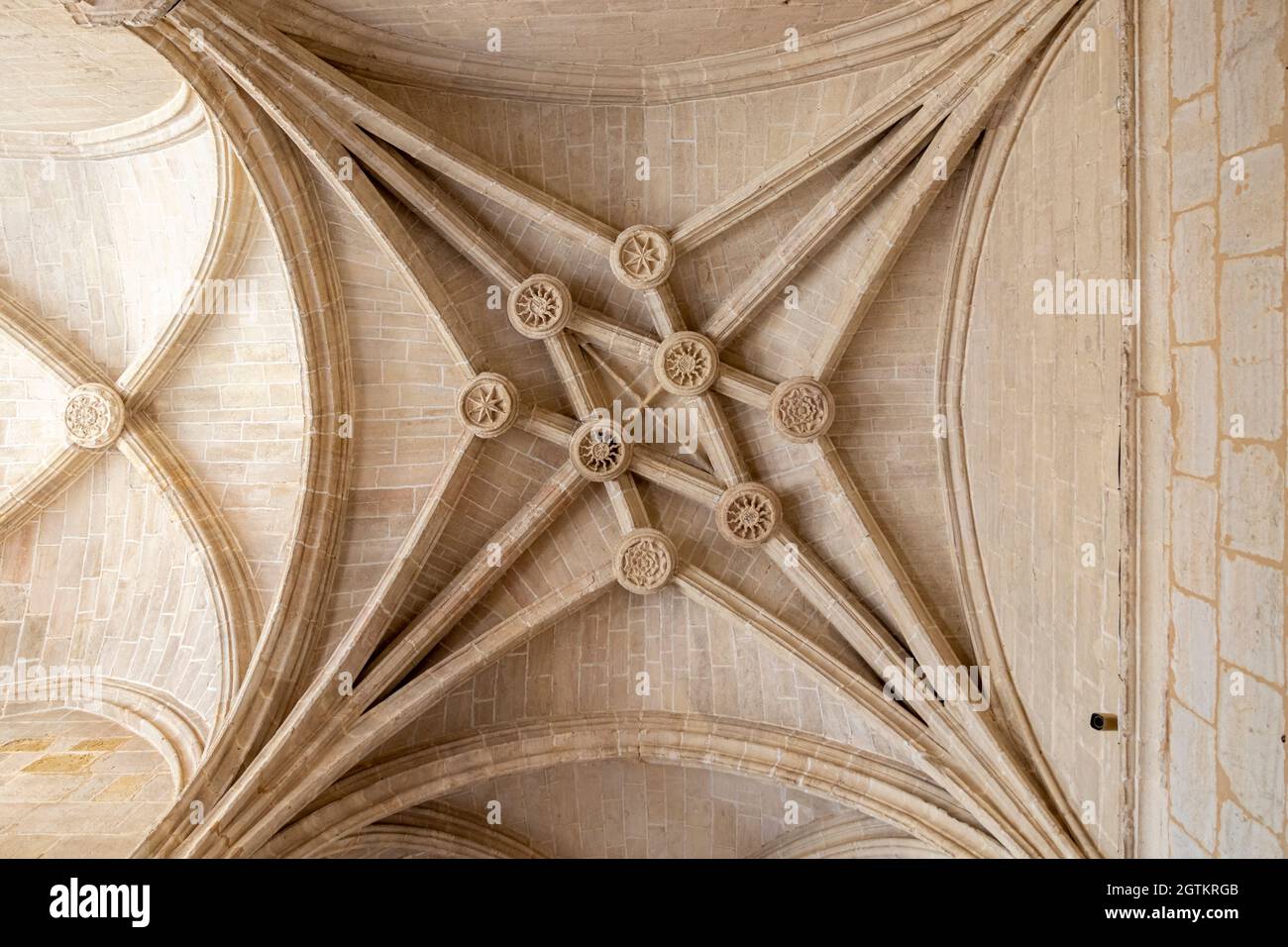 Ségovie, Espagne. Voûte nervurée gothique à l'intérieur de la cathédrale de Ségovie dans le cloître Banque D'Images