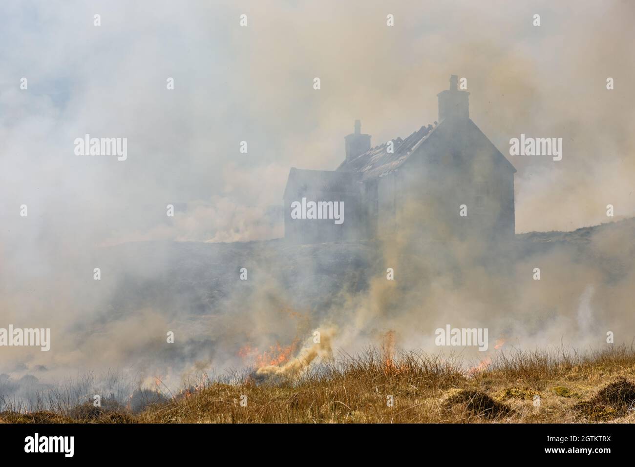Brûler la bruyère sur Eriskay dans les Hébrides extérieures de l'Écosse Banque D'Images