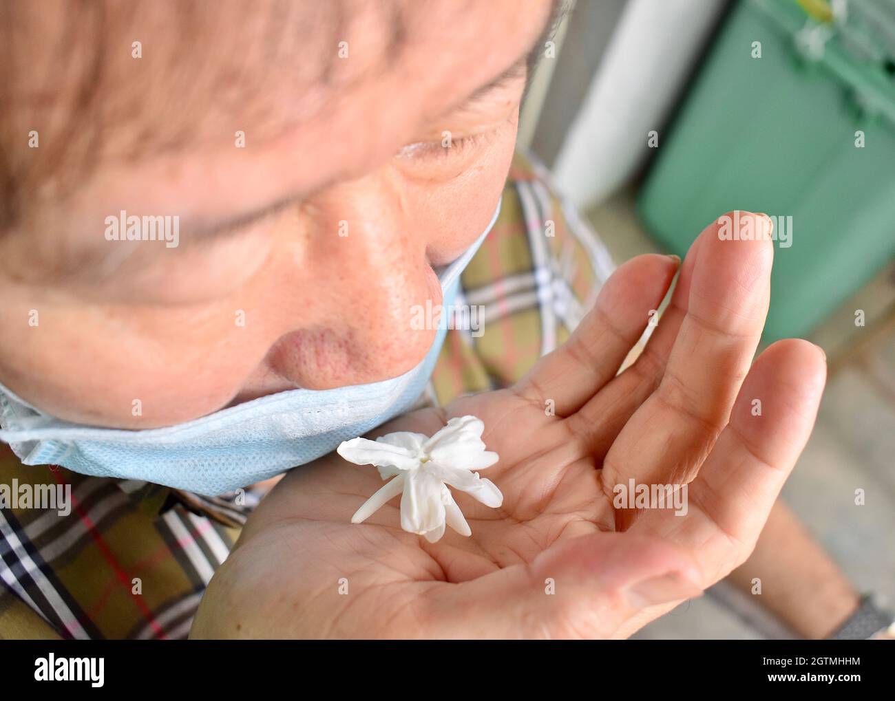 Le vieil homme de l'Asie du Sud-est, de la Chine et du Myanmar atteint la grippe froide perd l'odeur appelée anosmia. Il sent le parfum de la fleur de jasmin Banque D'Images