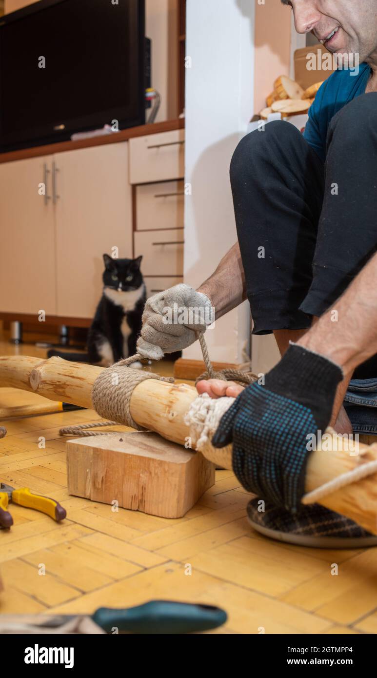 Homme D Age Moyen Faisant De L Arbre De Chat Fait Maison Pour Un Animal De Compagnie Charmant Photo Verticale Photo Stock Alamy