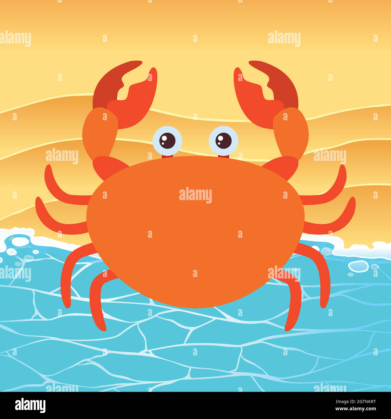 Cat Beach Banque D Images Vectorielles Alamy