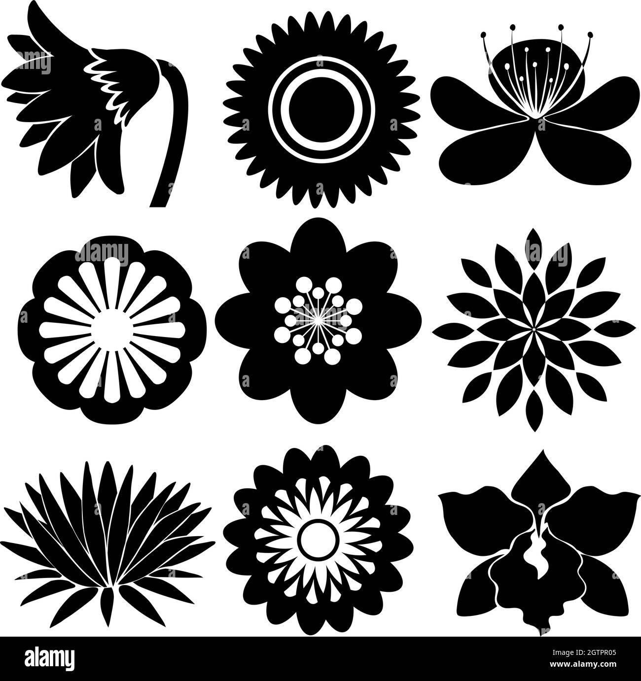 Motifs floraux dans des couleurs noires Illustration de Vecteur