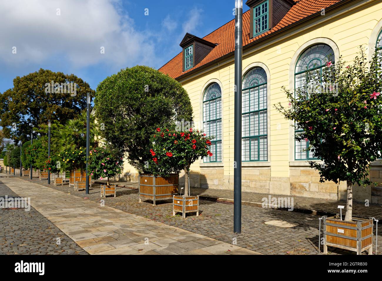 Orangerie, Herrenhausen, Hanovre, Deutschland / Allemagne Banque D'Images