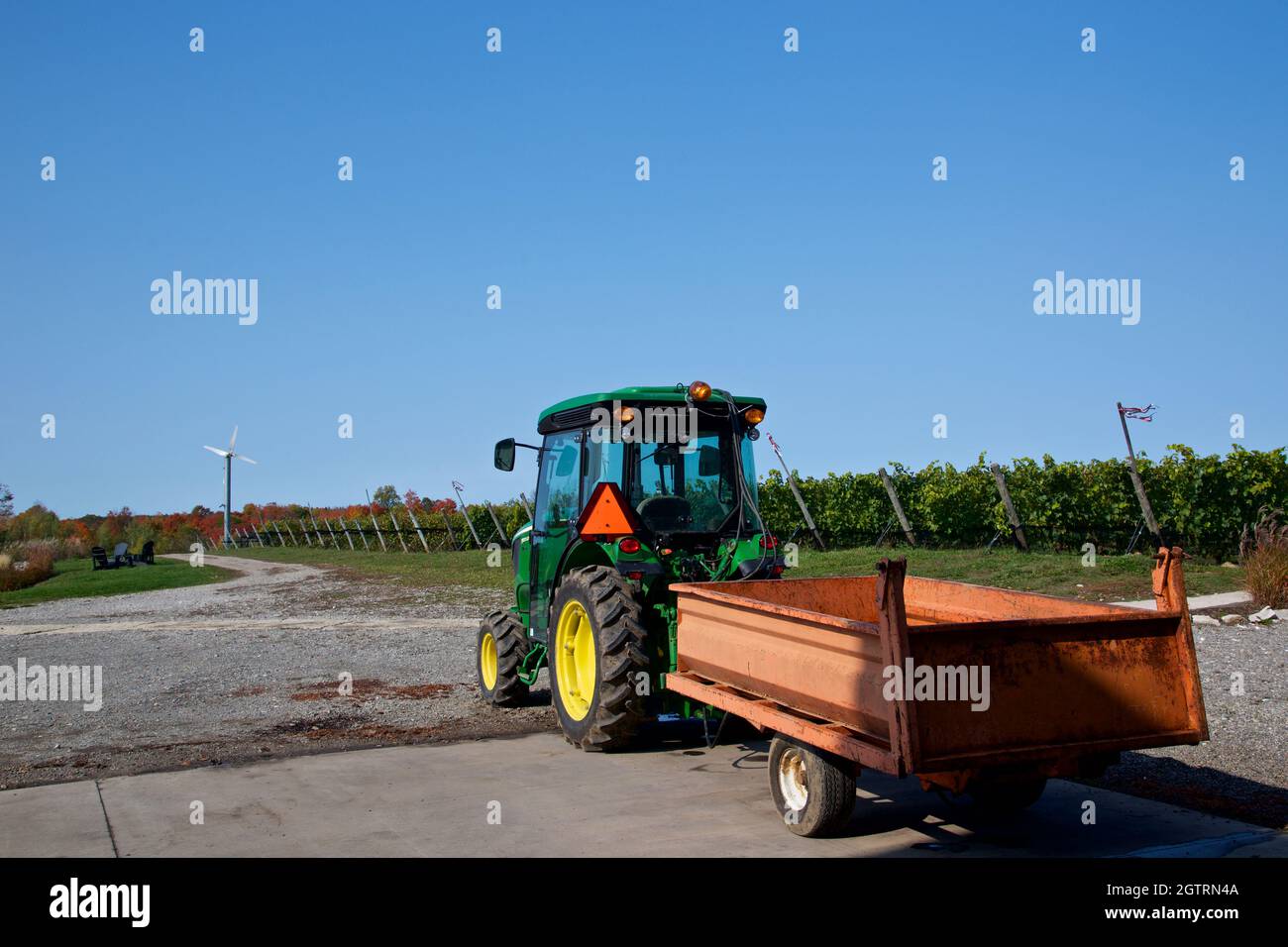 Un tracteur dans le vignoble avec des rangées de raisins dans le champ. Banque D'Images Un tracteur dans le vignoble avec des rangées de raisins dans le champ. Banque D'Images